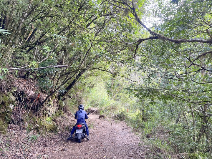 遠的要命的登山口 ─ 塑膠車雙載之一日往返小關山