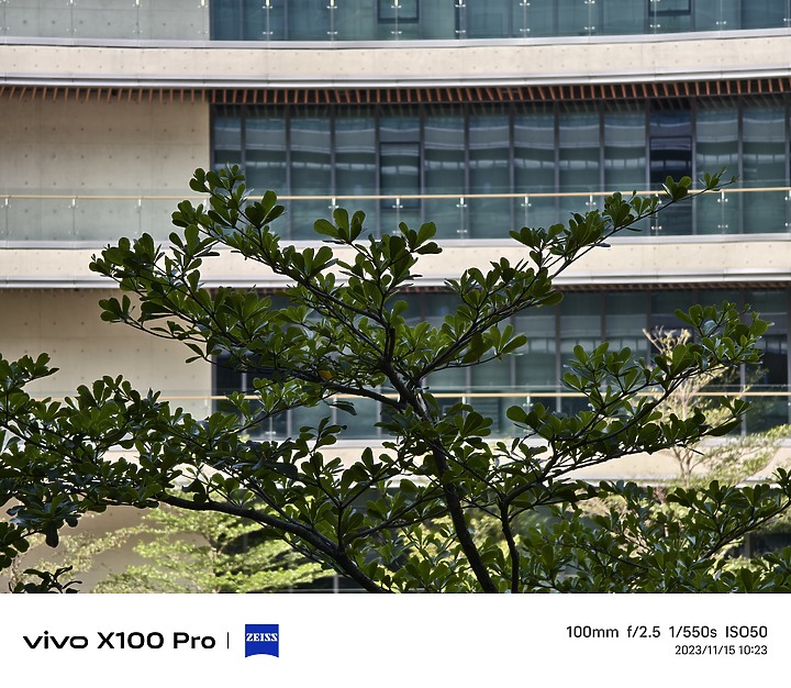 vivo X100 Pro相機初試｜望遠玩出新境界！ft.iPhone 15 Pro Max