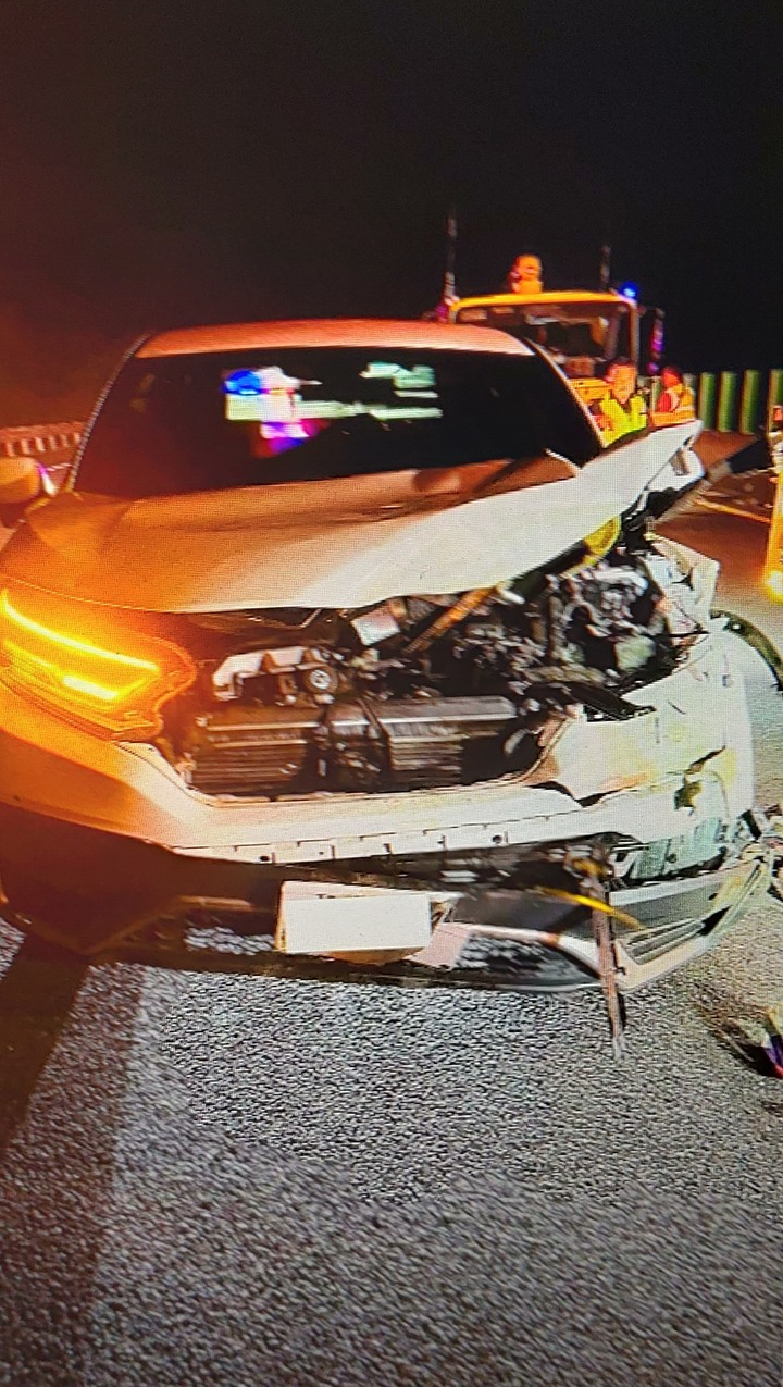驚嚇！夜間國道開車撞上一頭水鹿