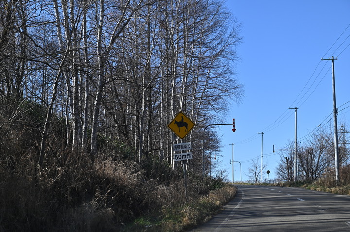 在錯的時間遇上錯的的天氣去北海道自由行