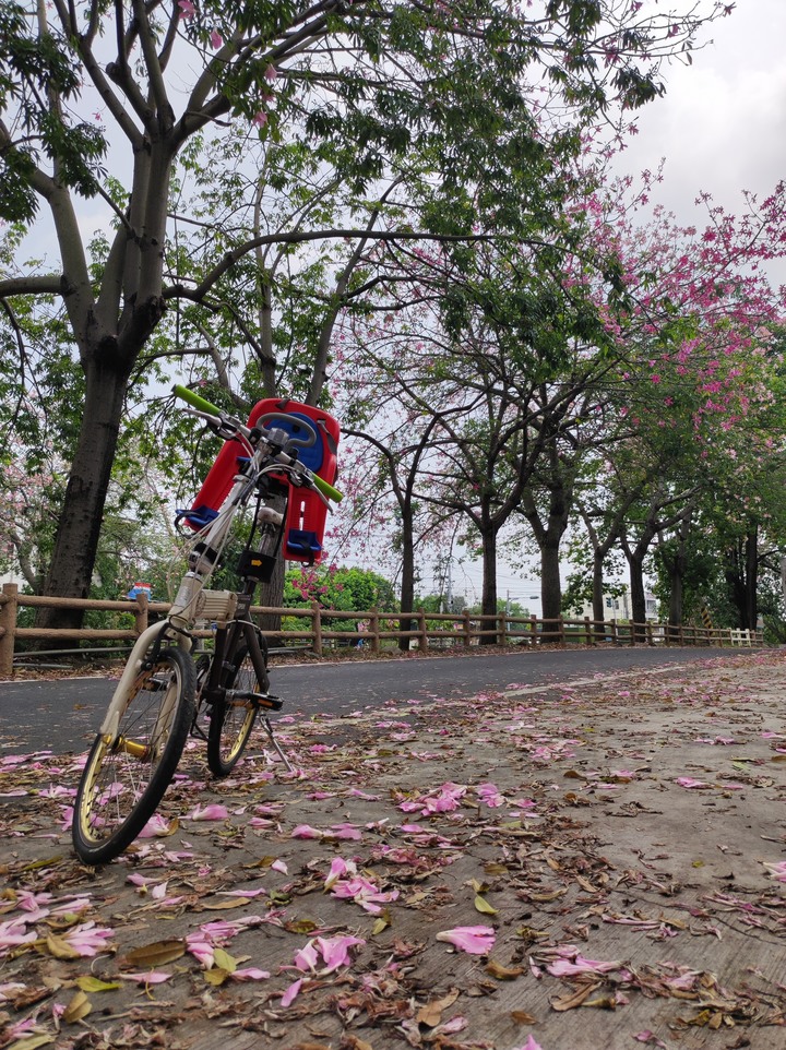 2023冬，小小孩的騎旅，雲林，太平媽祖祈福挑戰賽^_^
