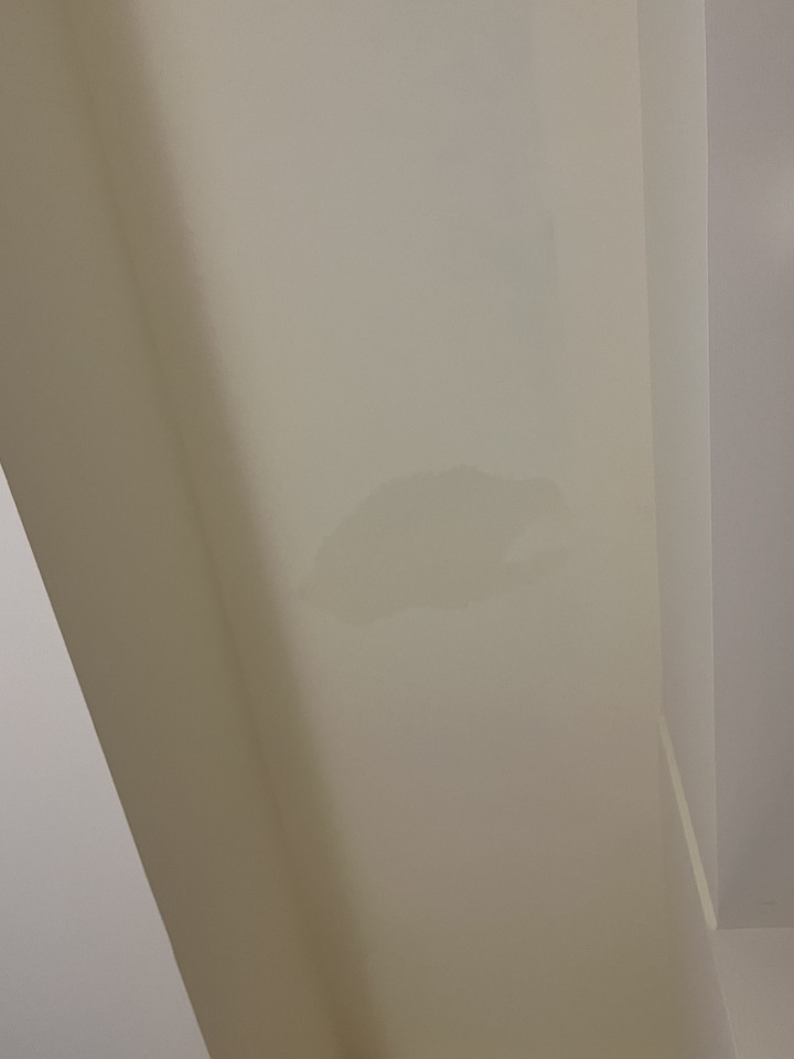 這是反潮還是漏水？
