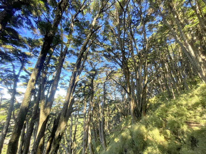 遠的要命的登山口 ─ 塑膠車雙載之一日往返小關山