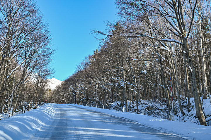 在錯的時間遇上錯的的天氣去北海道自由行