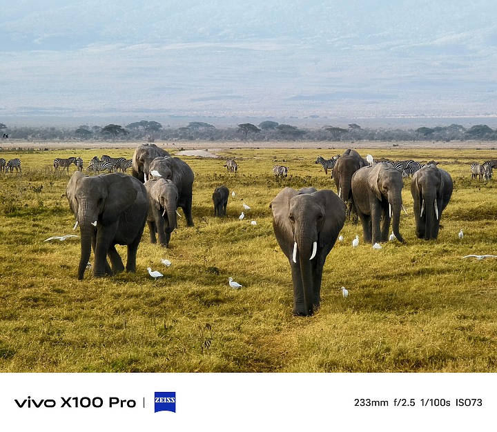 vivo X100 Pro 10x樣張（高解析度圖）