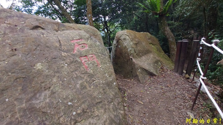 馬那邦山 原始楓林!|細道邦山 豆腐?棺材?