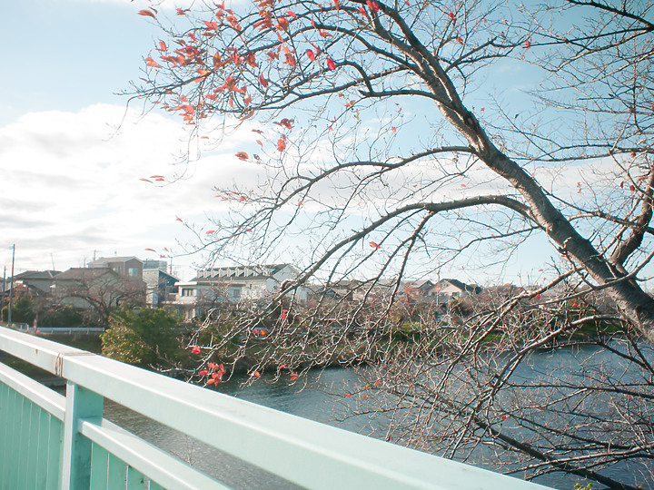 【老機不死】 GF1 仿富士即可拍（写ルンです / QuickSnap）with Olympus 15mm F8 & TTartisan 17mm F1.4