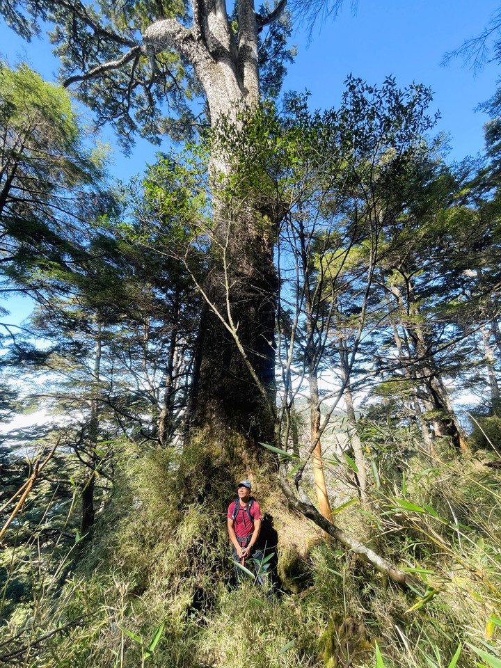 遠的要命的登山口 ─ 塑膠車雙載之一日往返小關山