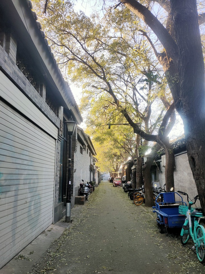 202311北京五日遊第三天