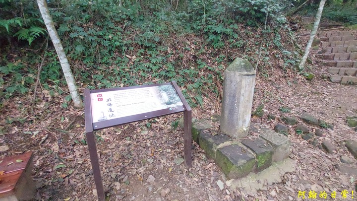 馬那邦山 原始楓林!|細道邦山 豆腐?棺材?