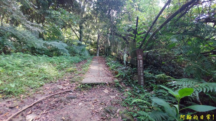 馬那邦山 原始楓林!|細道邦山 豆腐?棺材?