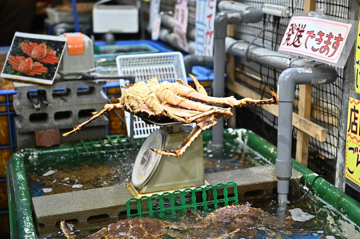 在錯的時間遇上錯的的天氣去北海道自由行
