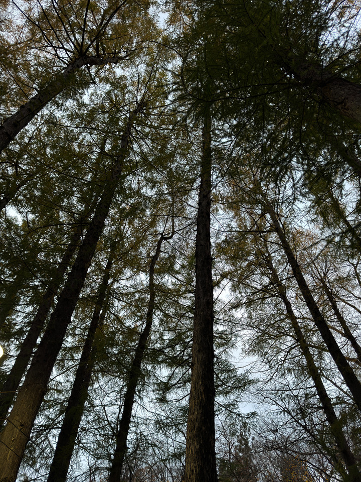 [北海道之旅] 用我的IPHONE 15 pro 紀錄