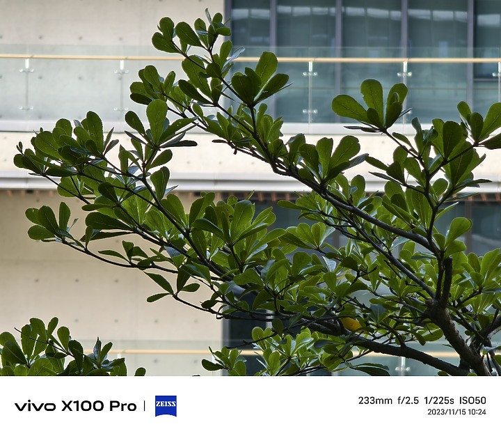 vivo X100 Pro相機初試｜望遠玩出新境界！ft.iPhone 15 Pro Max