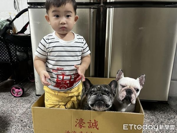 從小一起長大!弟弟和狗哥「不屑表情神複製」爸笑:玩伴很重要