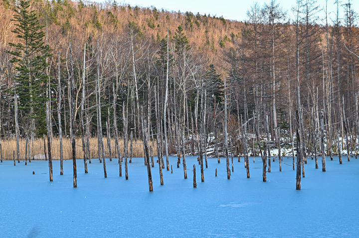 在錯的時間遇上錯的的天氣去北海道自由行