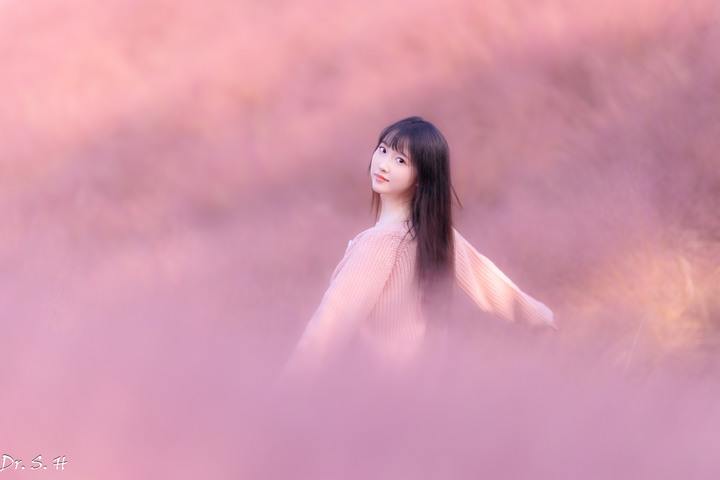 陽光+粉黛草+美女=愛情小說封面