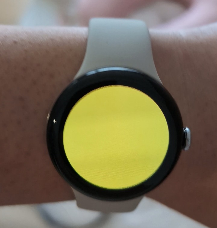 Pixel watch 2 常當機 + 螢幕烙印 （已送修取回）