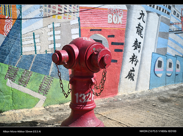 帶 Nikon 55mmf 3.5 AI 亂影一天