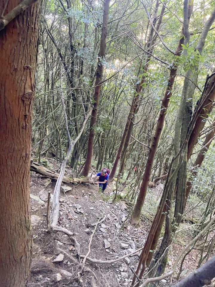 遠的要命的登山口 ─ 塑膠車雙載之一日往返小關山