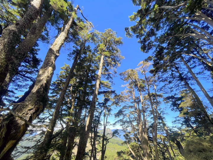 遠的要命的登山口 ─ 塑膠車雙載之一日往返小關山