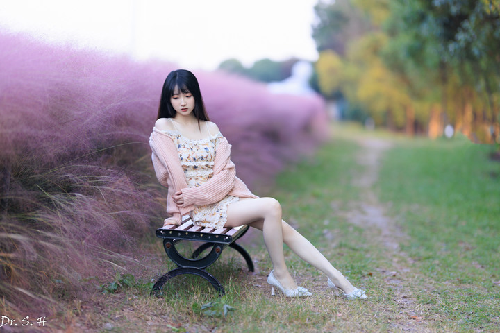 陽光+粉黛草+美女=愛情小說封面