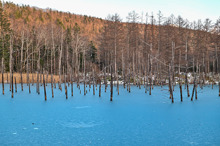 在錯的時間遇上錯的的天氣去北海道自由行