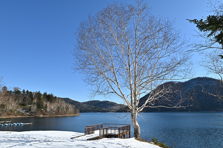 在錯的時間遇上錯的的天氣去北海道自由行