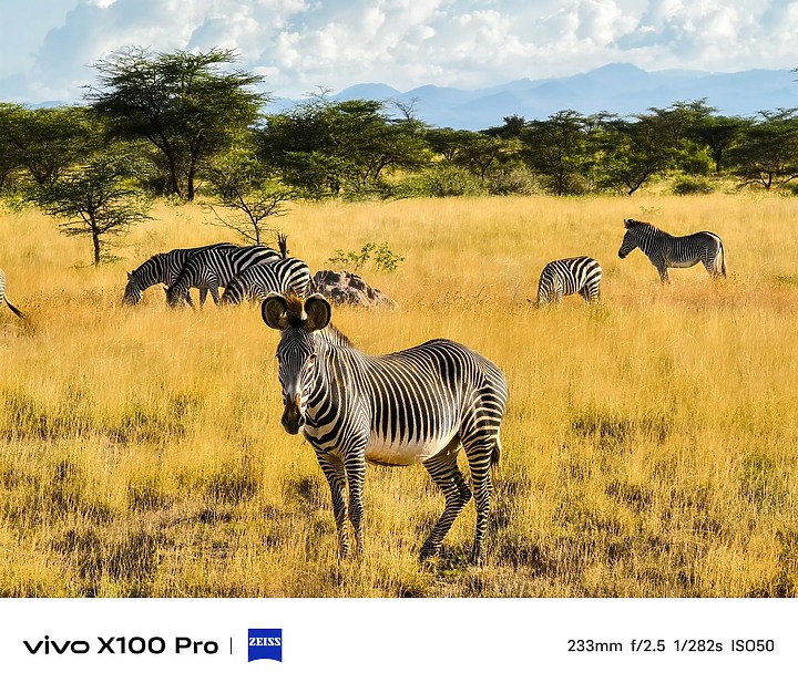 vivo X100 Pro 10x樣張（高解析度圖）