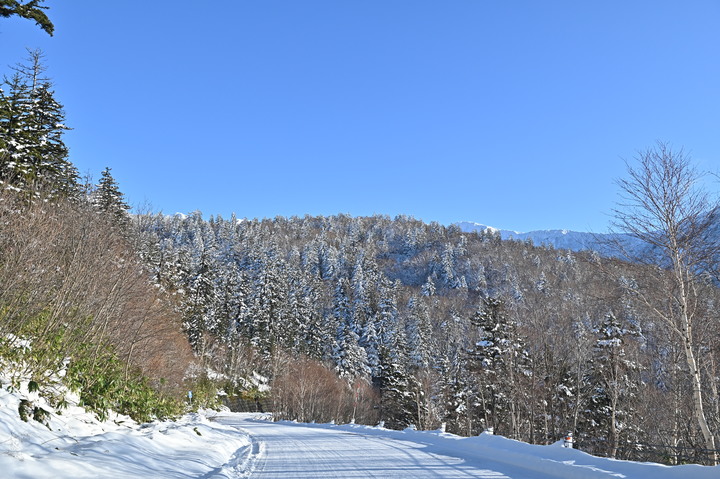 在錯的時間遇上錯的的天氣去北海道自由行