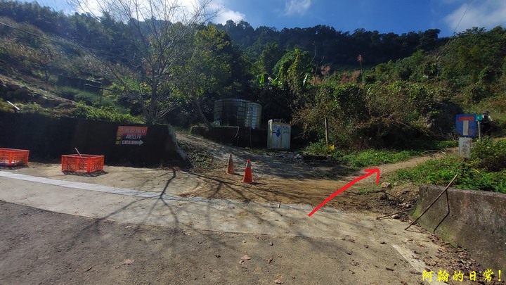 馬那邦山 原始楓林!|細道邦山 豆腐?棺材?