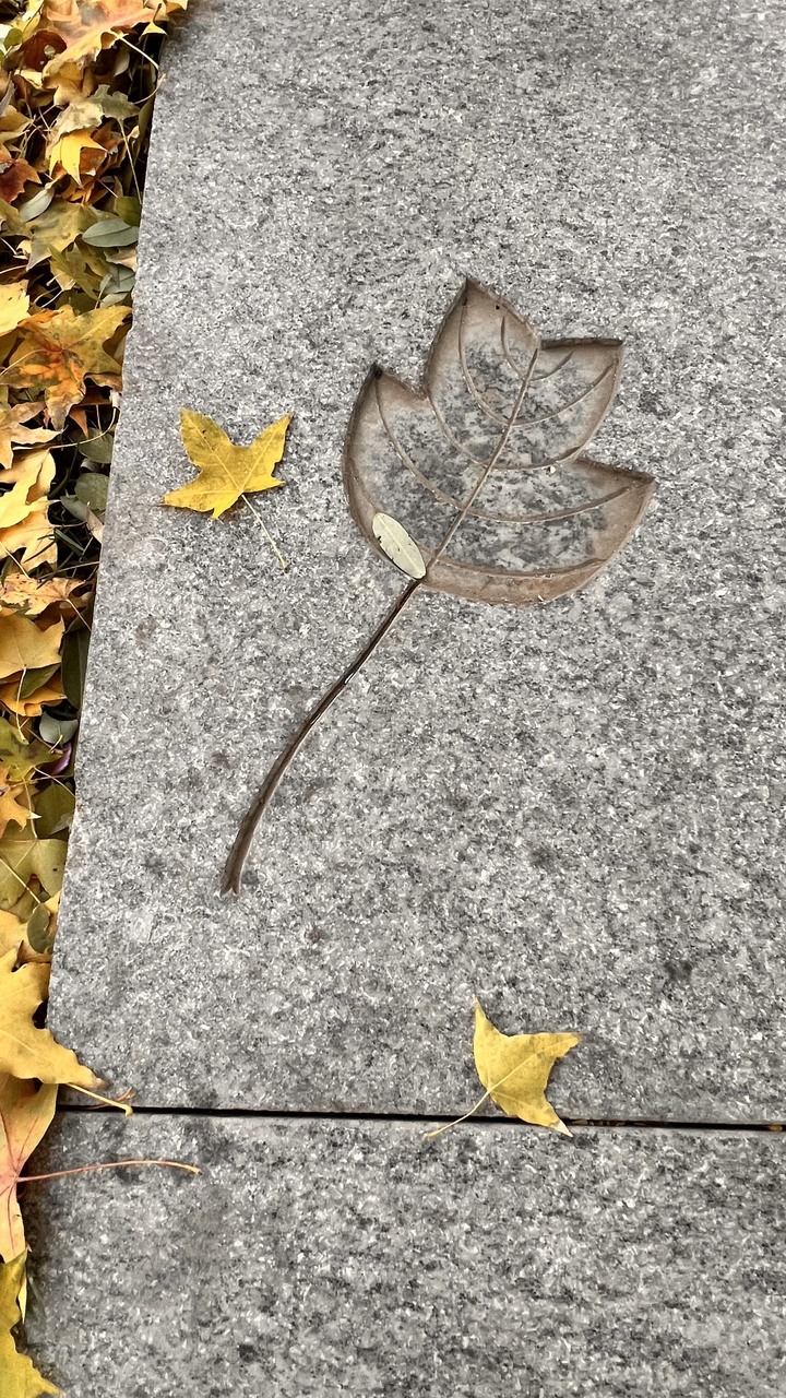 202311北京五日遊第二天