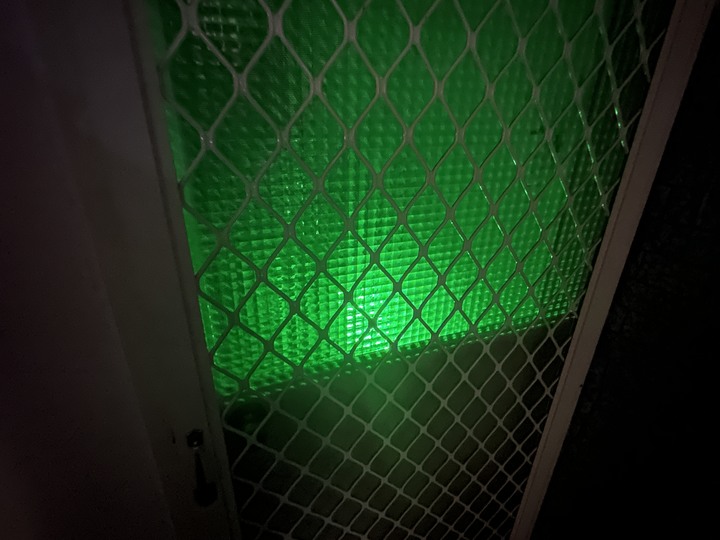 【開箱】TP-Link 可靠智慧最佳助手｜輕鬆打造智慧家庭套組