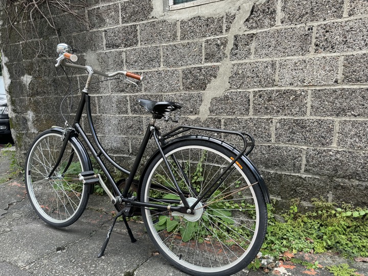 分享老舊車輛整新 更新椅墊&把手&煞車系統