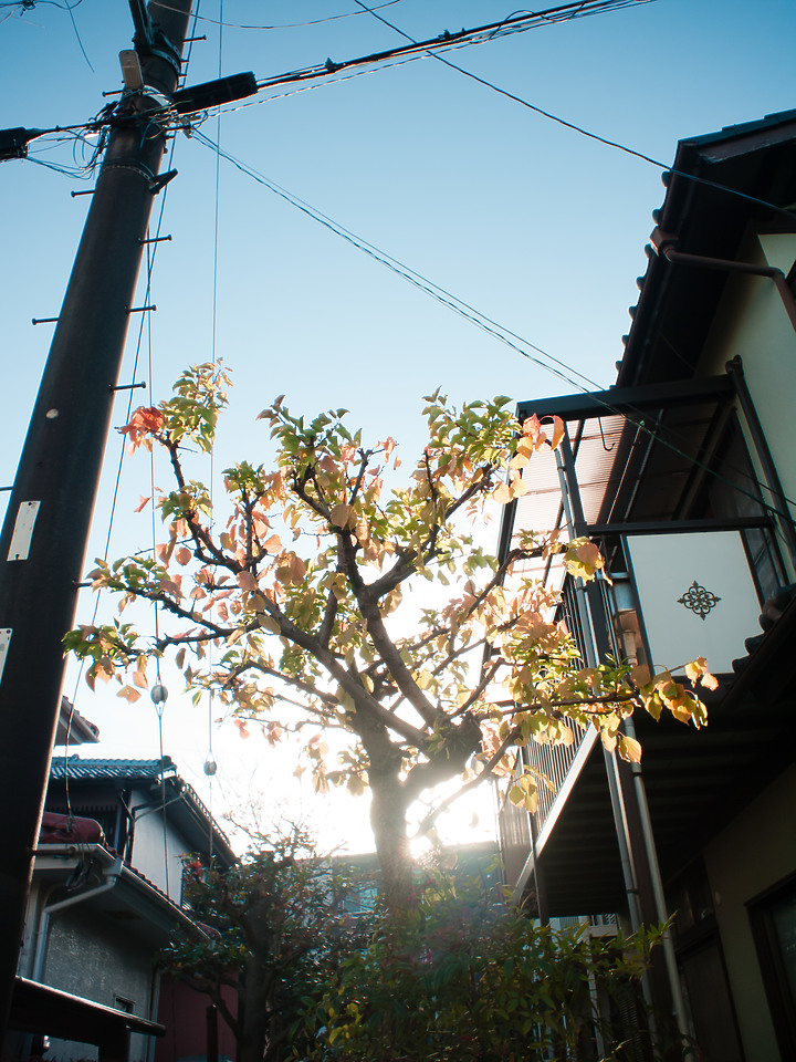 【老機不死】 GF1 仿富士即可拍（写ルンです / QuickSnap）with Olympus 15mm F8 & TTartisan 17mm F1.4