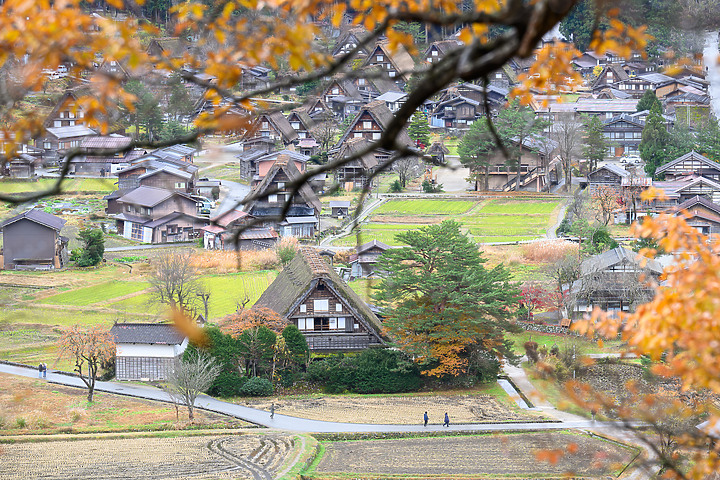 合掌村＆體驗楓紅炸裂的日本＿Z6II升級Z8有感（外加NIKON 70-200mm f2.8S好威體驗）