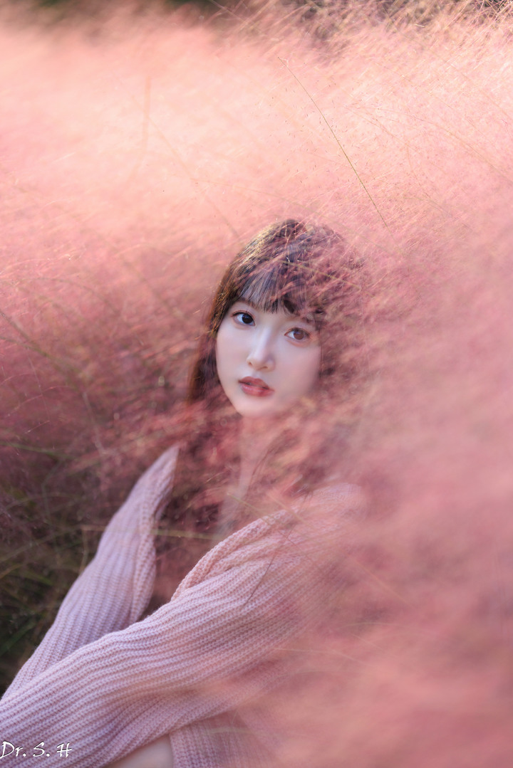 陽光+粉黛草+美女=愛情小說封面