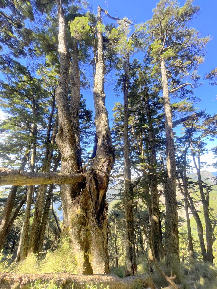 遠的要命的登山口 ─ 塑膠車雙載之一日往返小關山