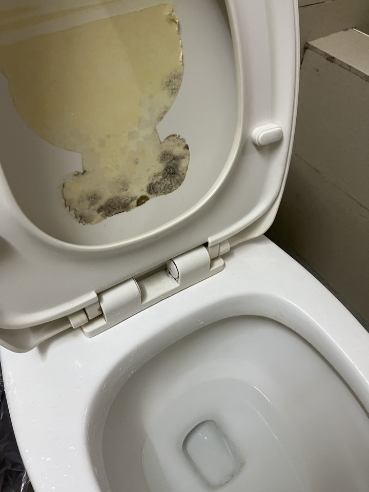 馬桶蓋這種怎麼換…