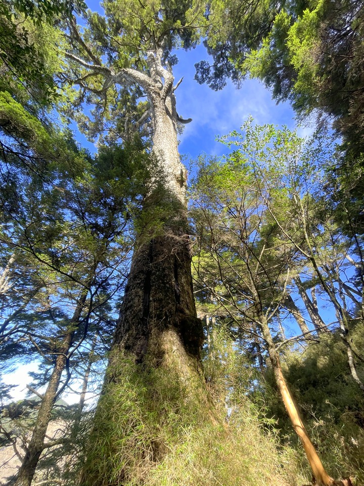 遠的要命的登山口 ─ 塑膠車雙載之一日往返小關山