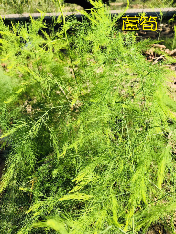 有錢買塊農地吧~~~