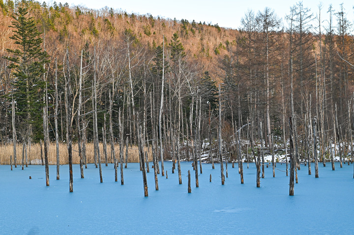 在錯的時間遇上錯的的天氣去北海道自由行