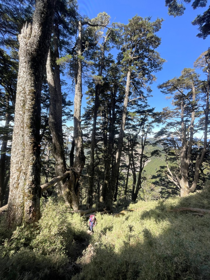遠的要命的登山口 ─ 塑膠車雙載之一日往返小關山