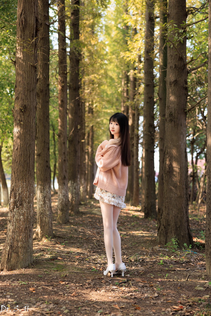 陽光+粉黛草+美女=愛情小說封面