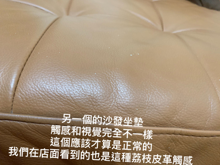 請教IKEA真皮沙發皮革問題~