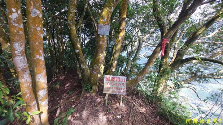 馬那邦山 原始楓林!|細道邦山 豆腐?棺材?