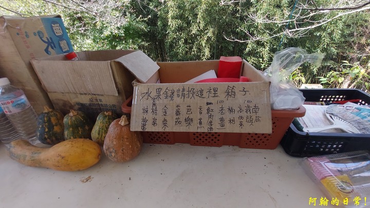 馬那邦山 原始楓林!|細道邦山 豆腐?棺材?