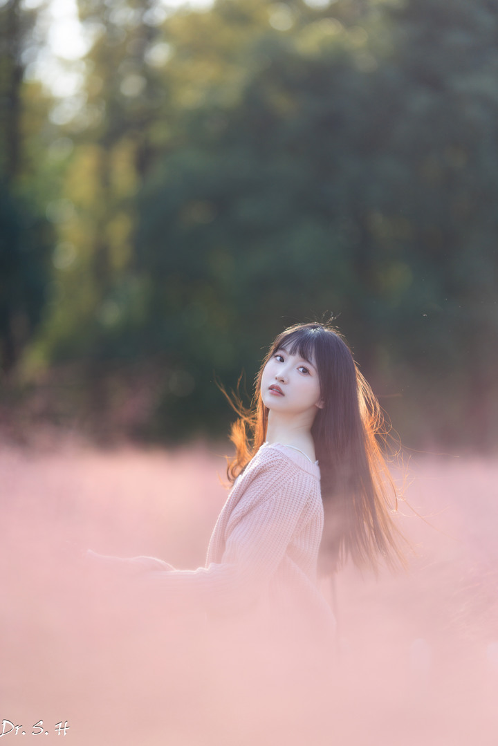 陽光+粉黛草+美女=愛情小說封面