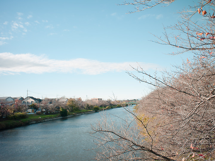 【老機不死】 GF1 仿富士即可拍（写ルンです / QuickSnap）with Olympus 15mm F8 & TTartisan 17mm F1.4