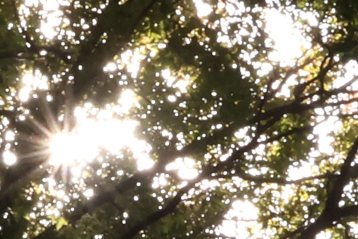 Canon RF-S 10-18mm f/4.5-6.3 IS STM 評測報告｜攝錄皆宜、僅 150g 的隨身超廣角鏡頭！